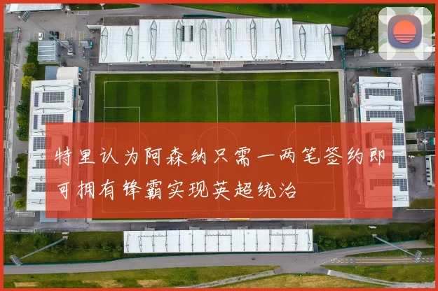 特里认为阿森纳只需一两笔签约即可拥有锋霸实现英超统治