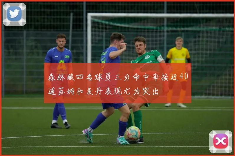 森林狼四名球员三分命中率接近40道苏姆和麦丹表现尤为突出