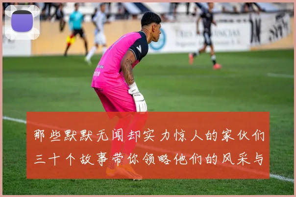 那些默默无闻却实力惊人的家伙们三十个故事带你领略他们的风采与传奇