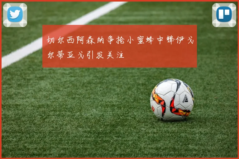 切尔西阿森纳争抢小蜜蜂中锋伊戈尔蒂亚戈引发关注
